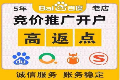 某品牌通过SEM优化实现品牌增长的故事